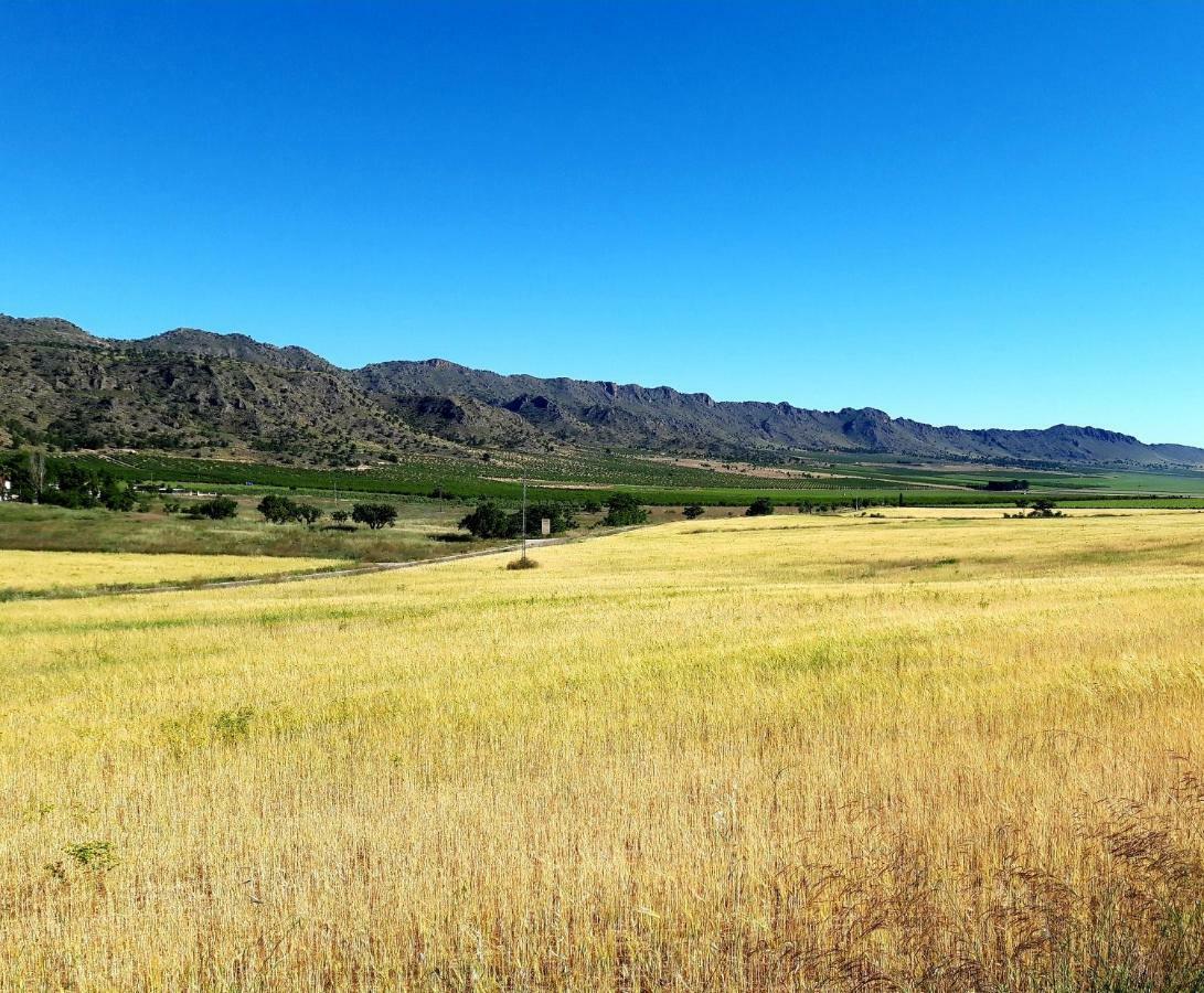 فيلا Casa Vidal Relax Al Pie De La Sierra ييكلا المظهر الخارجي الصورة